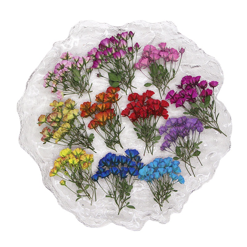 Dried Flower Bookmark - 36x Geperst Gedroogde Multi-Heads Geverfde Rozenknoppen