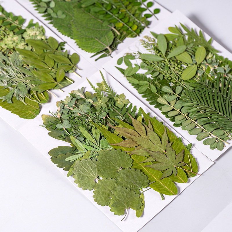 1Set 35 Stuks Geperst Gedroogd - Dried Flower Bookmark recensie en prijs