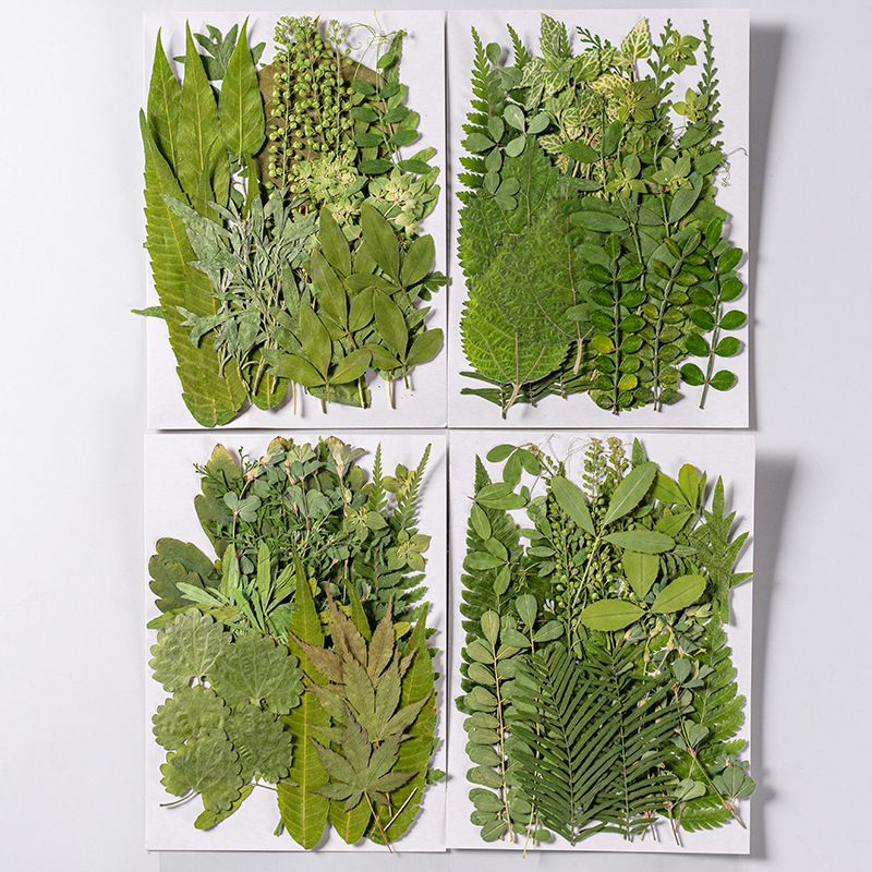 1Set 35 Stuks Geperst Gedroogd - Dried Flower Bookmark recensie en prijs