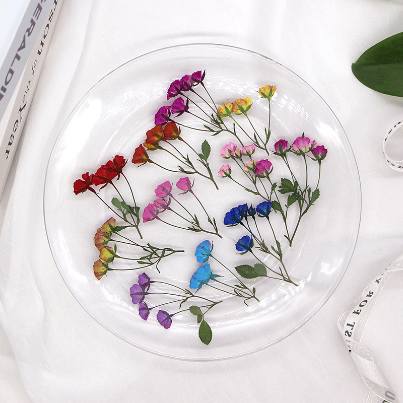 36x Geperst Gedroogde Multi-He - Dried Flower Bookmark recensie en prijs