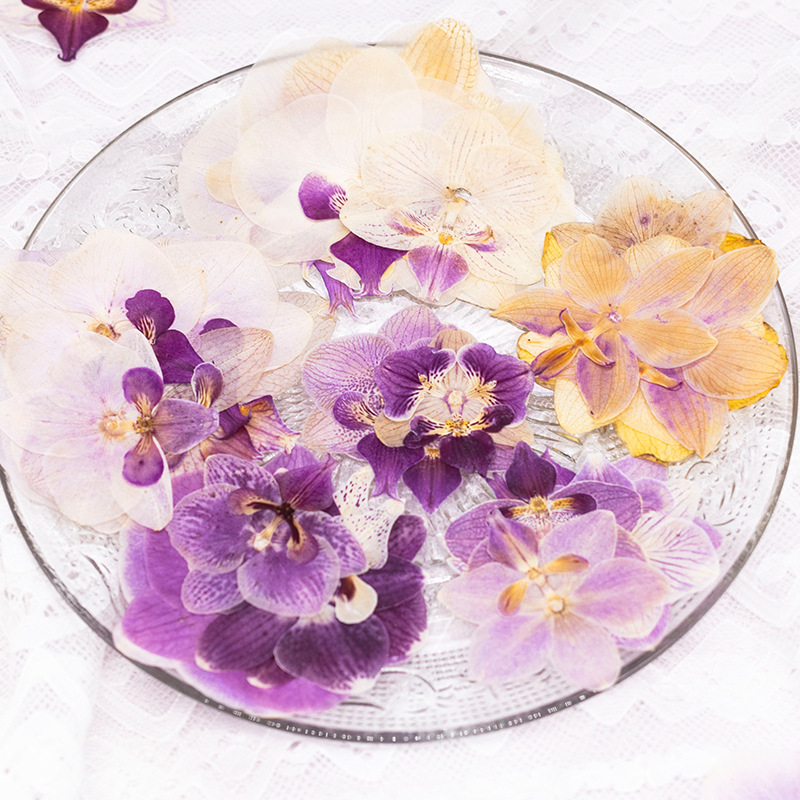 4 Stuks Geperste Gedroogde Pha - Dried Flower Bookmark recensie en prijs