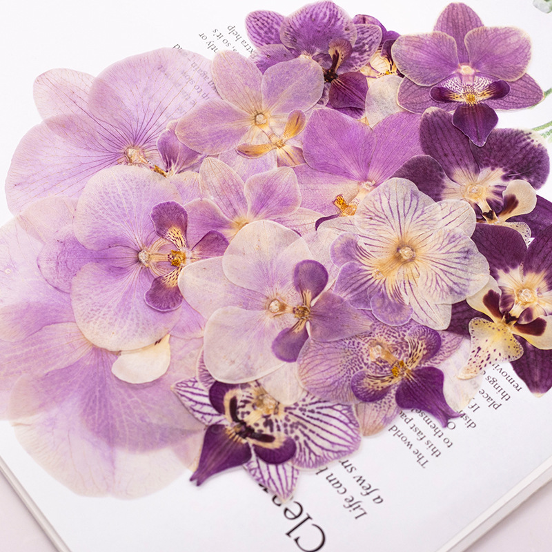 4 Stuks Geperste Gedroogde Pha - Dried Flower Bookmark recensie en prijs